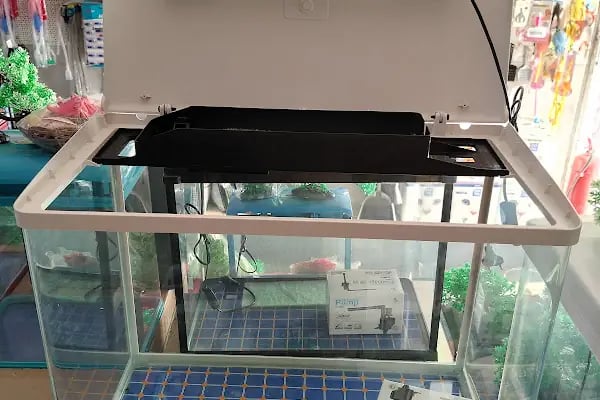 Alsancak Petshop - Resim 10