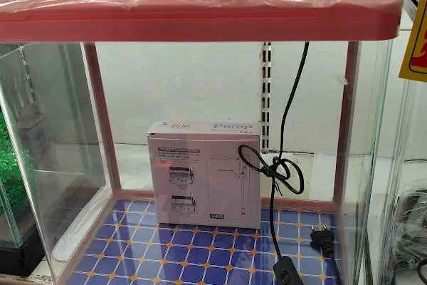 Alsancak Petshop - Resim 4
