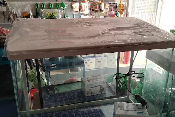 Alsancak Petshop - Resim 6