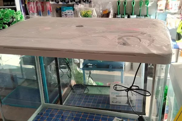 Alsancak Petshop - Resim 3