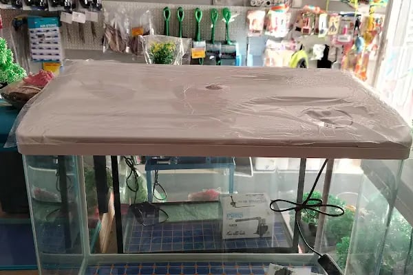 Alsancak Petshop - Resim 7