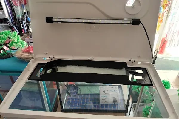Alsancak Petshop - Resim 11