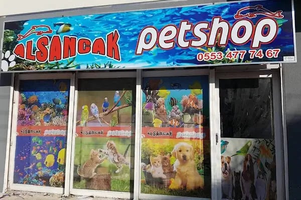 Alsancak Petshop - Resim 2