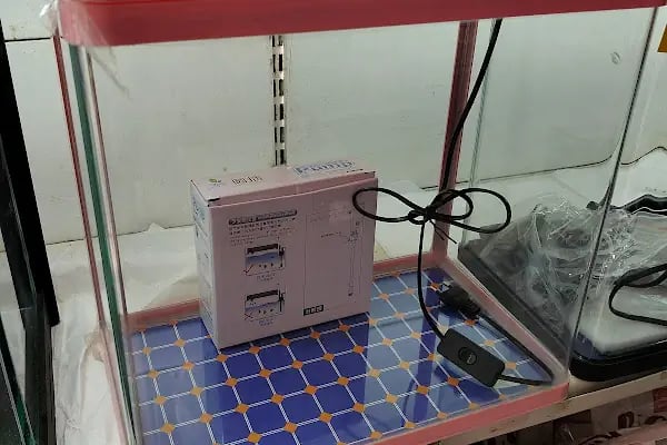 Alsancak Petshop - Resim 5
