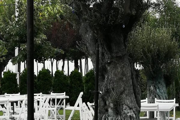 Mitza park - Resim 16