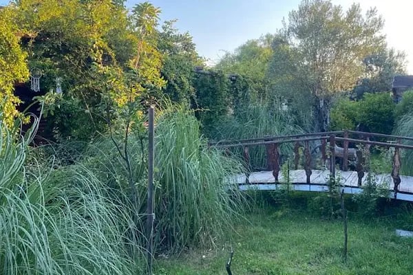 Mitza park - Resim 9