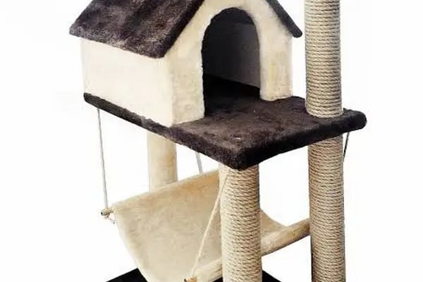 Pati Petshop - Resim 17