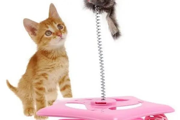 Pati Petshop - Resim 7