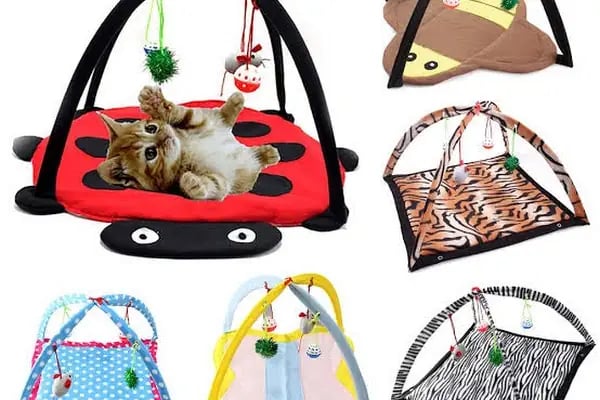 Pati Petshop - Resim 14