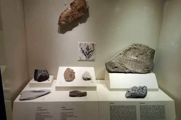Akhisar Arkeoloji ve Etnografya Müzesi - Resim 6
