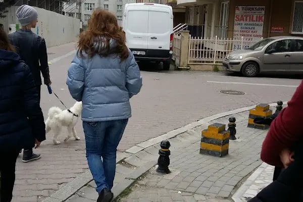 Prestij Konutları - Resim 14
