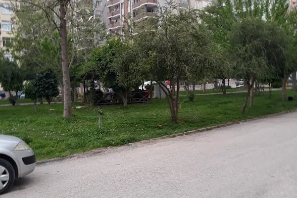 Sırkıntı Sitesi - Resim 2