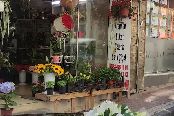 Gemlik Çiçekçi Hasibe - Resim 2