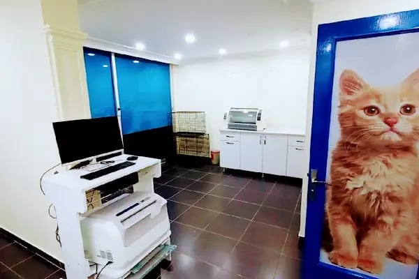 Mutlu Kuyruklar Veteriner Kliniği - Resim 6
