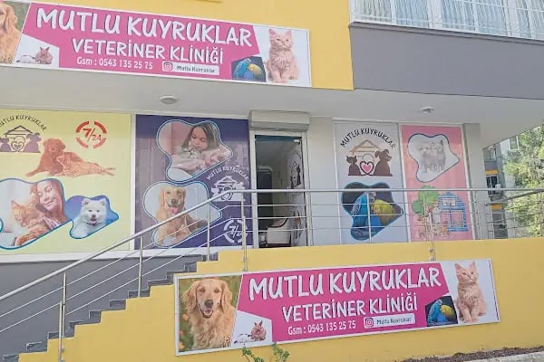 Mutlu Kuyruklar Veteriner Kliniği - Resim 11