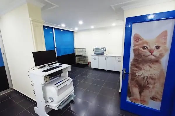 Mutlu Kuyruklar Veteriner Kliniği - Resim 18