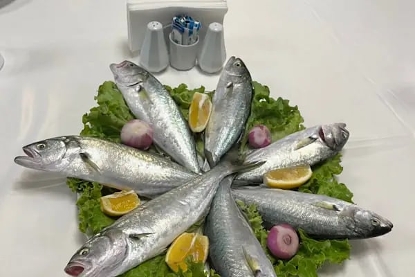 Taka Balık (Fish) - Resim 3
