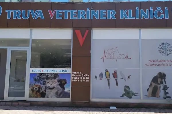 Truva Veteriner Muayenehanesi - Resim 12