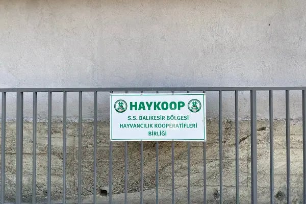 Haykoop Pamukçu Yem Tesisi - Resim 4