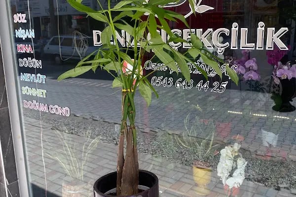 Deniz Çiçekçilik ve Organizasyon - Resim 12