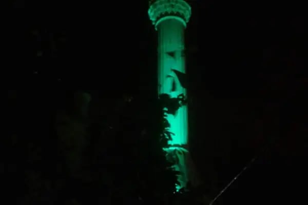 Ali Aktürk Parkı - Resim 13