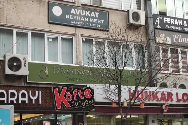 İnegöl Diyetisyen Ahun Çelik - Resim 3