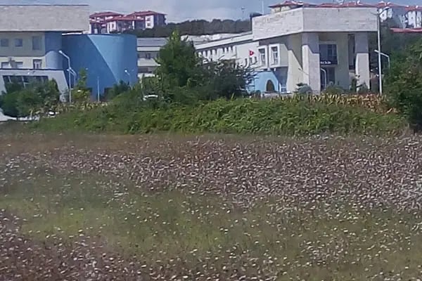 Sakarya Adalet Sarayı - Resim 11