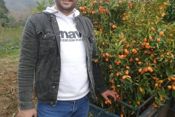 İzmir meyve fidanı ve çiçek - Resim 12