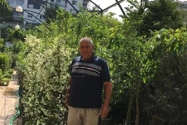 İzmir meyve fidanı ve çiçek - Resim 16
