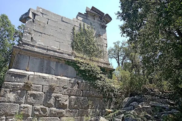 Termessos milli parki piknik yeri - Resim 9