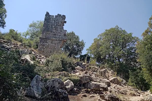 Termessos milli parki piknik yeri - Resim 12