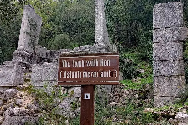 Termessos milli parki piknik yeri - Resim 10