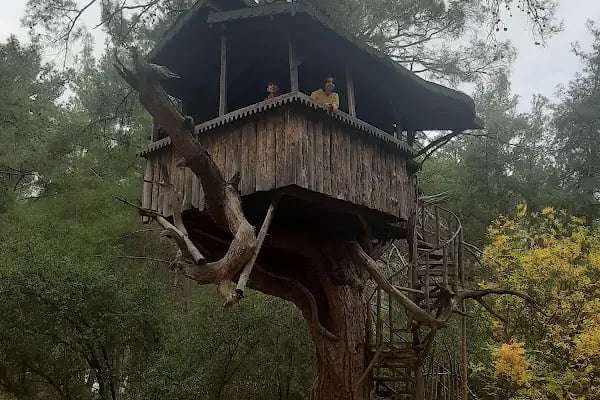 Termessos milli parki piknik yeri - Resim 11