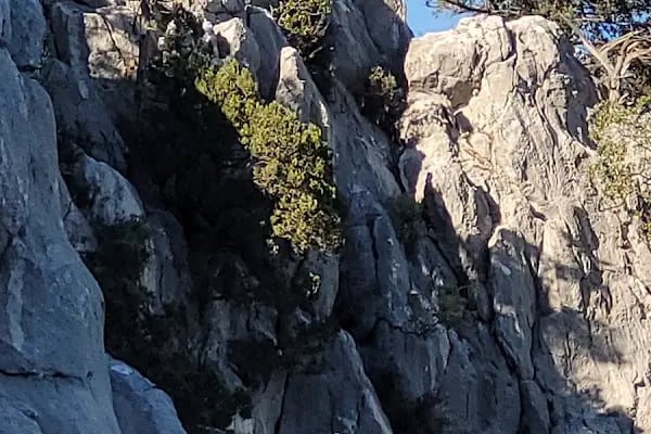 Termessos milli parki piknik yeri - Resim 20