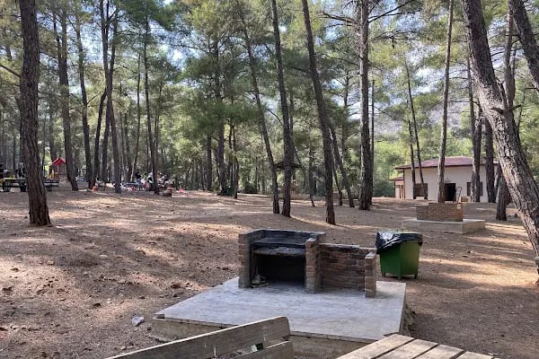 Termessos milli parki piknik yeri - Resim 4