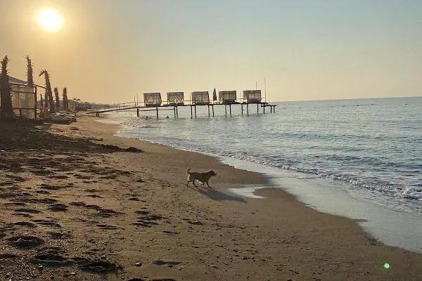 Antalya Karavan Kiralama | Yuvango Karavan - Resim 19