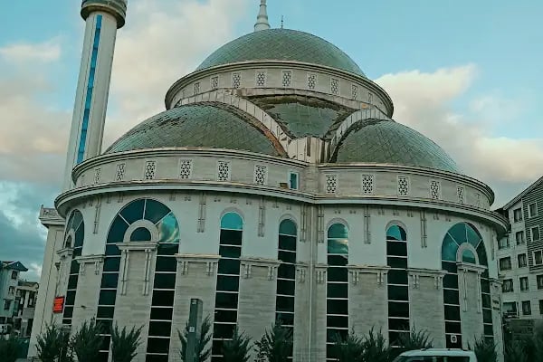 Hasköy Savaştepe Cami - Resim 4