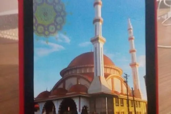 Hasköy Savaştepe Cami - Resim 18