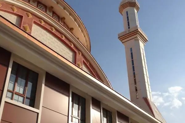 Hasköy Savaştepe Cami - Resim 6
