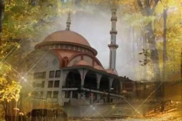 Hasköy Savaştepe Cami - Resim 2