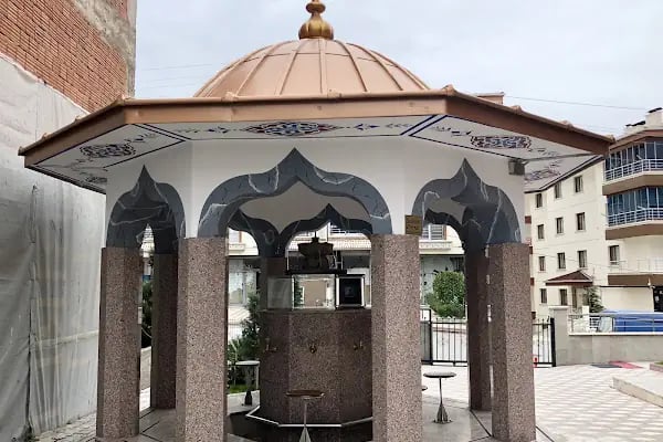 Hasköy Savaştepe Cami - Resim 11