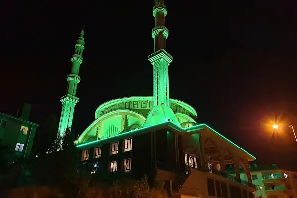 Hasköy Savaştepe Cami - Resim 16