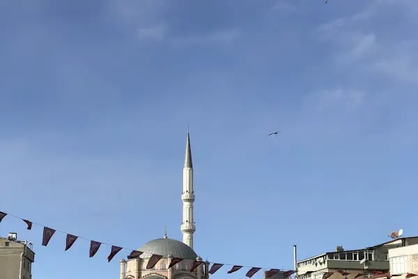 Çiftlik Demircan - Resim 3