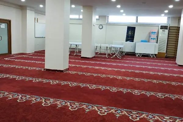 Çiftlik Demircan - Resim 15