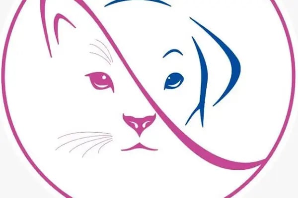 Bursa İzavet Veteriner Kliniği - Resim 9