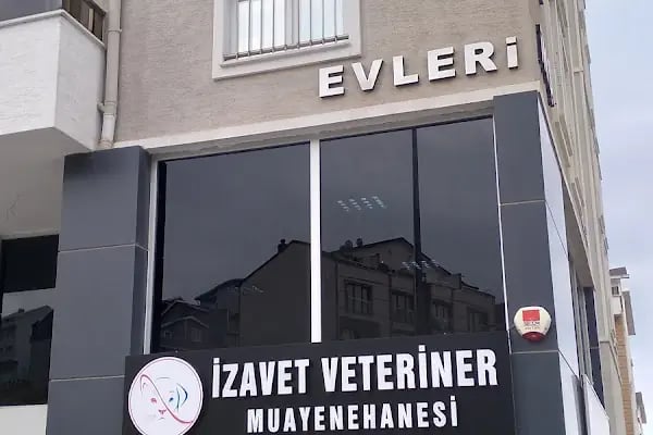 Bursa İzavet Veteriner Kliniği - Resim 2