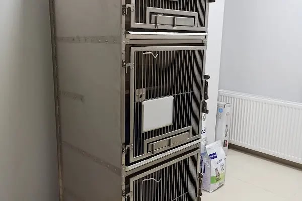 Bursa İzavet Veteriner Kliniği - Resim 6