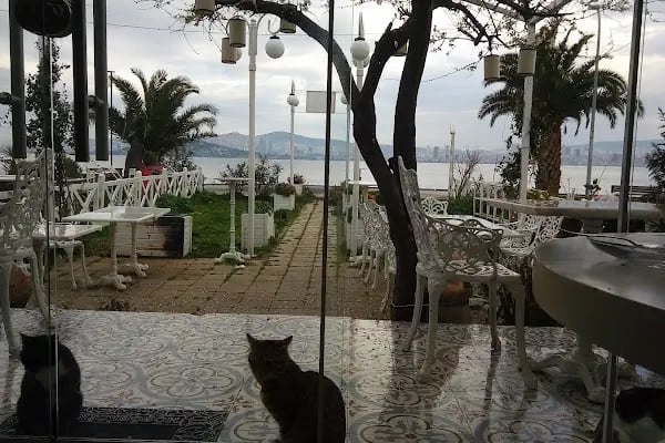 Büyükada Port Hotel - Resim 8