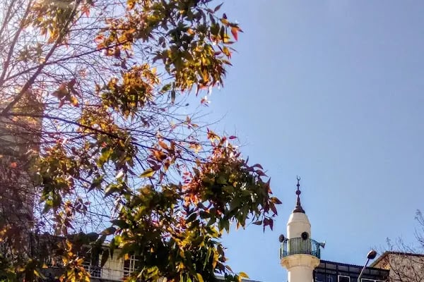 Ballıkuyu Hikmetiye Cami - Resim 3