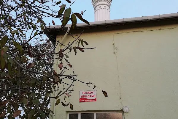 Hasköy Cami - Resim 12